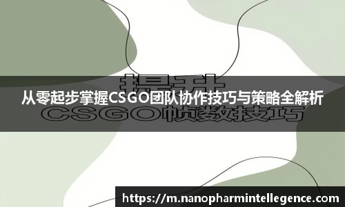 ob直播地址